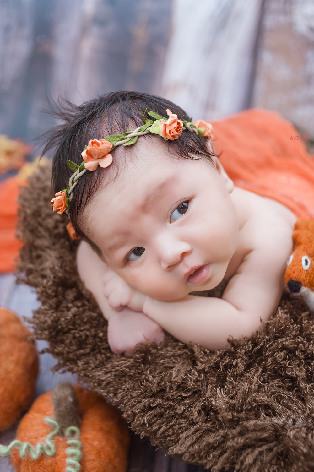 album ảnh newborn 24